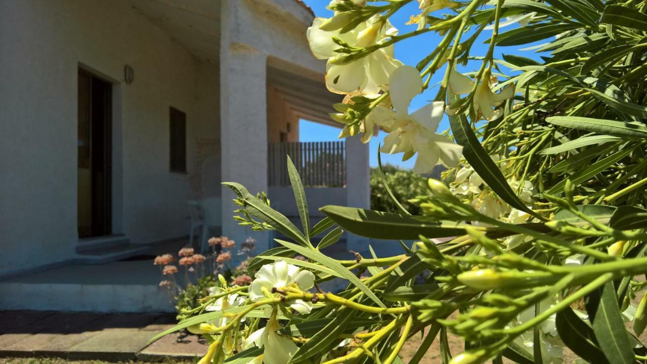 Villa Singola Валледория Экстерьер фото